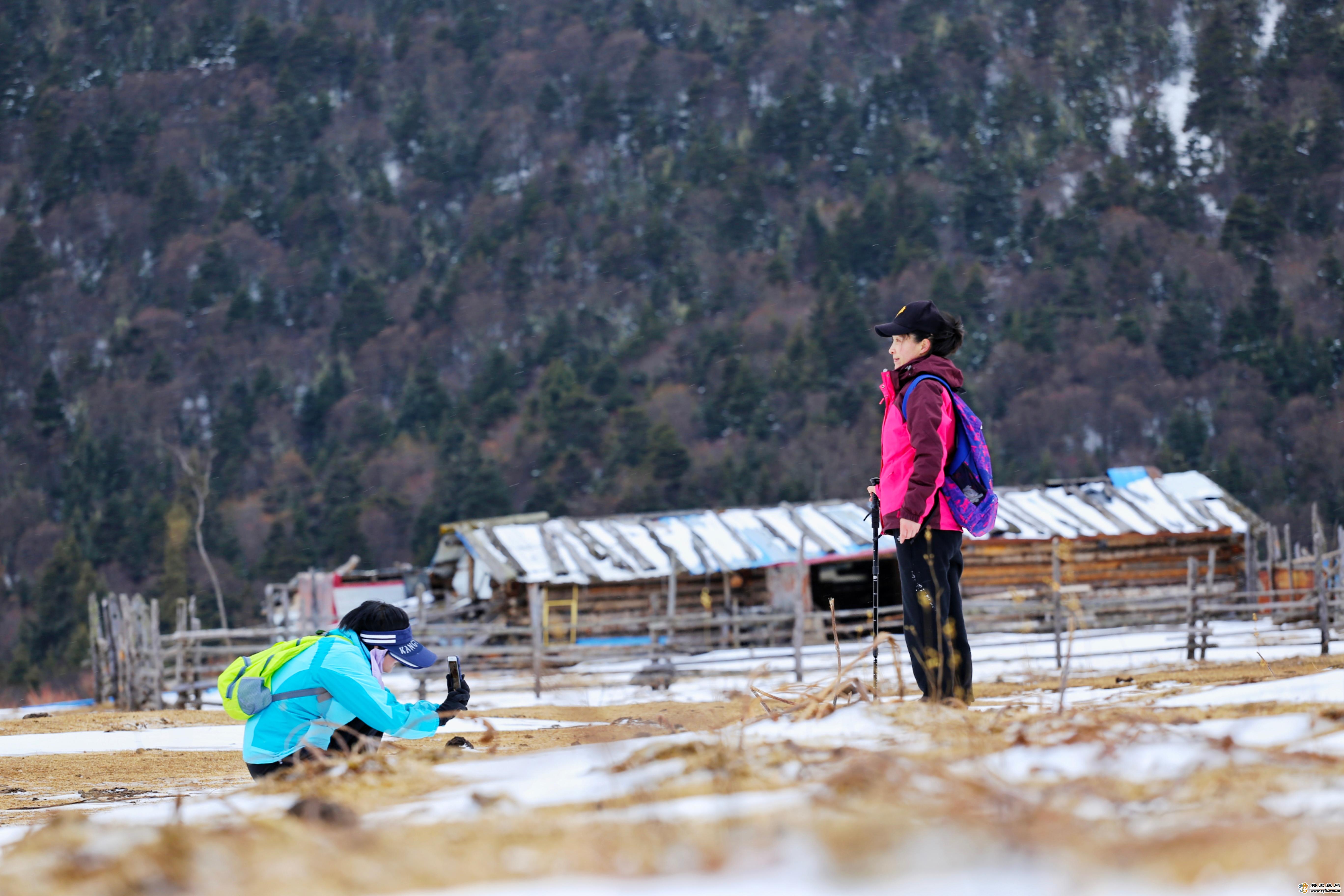 旅游资讯雪山旅游资讯香格里拉雪山徒杏彩体育步带你感受冰雪魅力