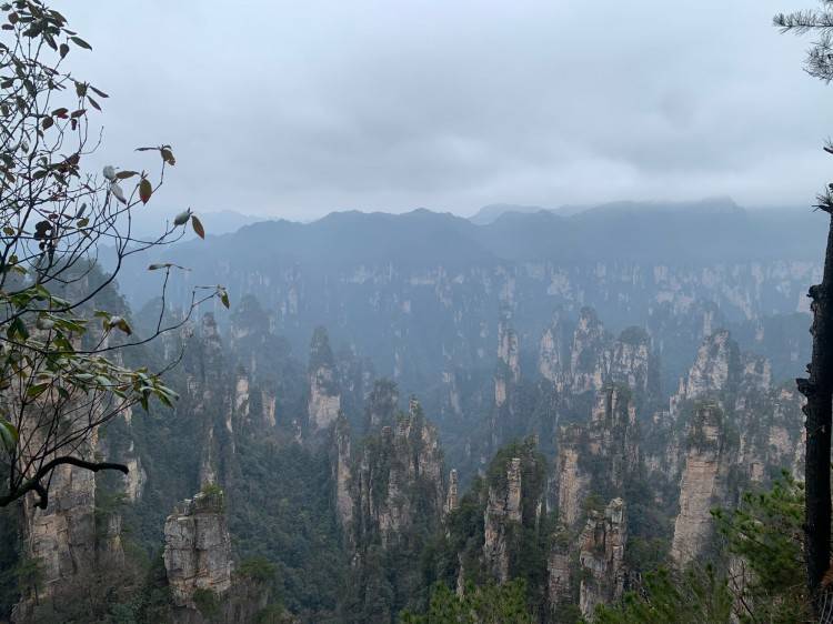 kaiyun官方下载张家界自驾旅游攻略张家界自驾游三天攻略张