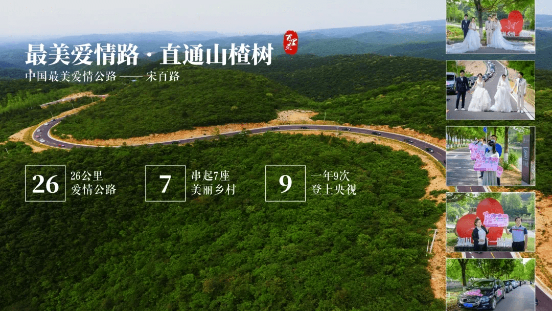 开云体育，夷陵这条旅游线路被农业农村部重点推荐!